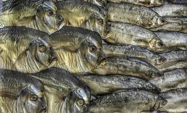 Les symptômes de la leucémie : Quels sont les signaux d'alarme ?