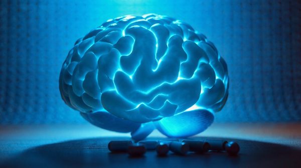 Nootropiques : les meilleurs conseils pour booster votre cerveau